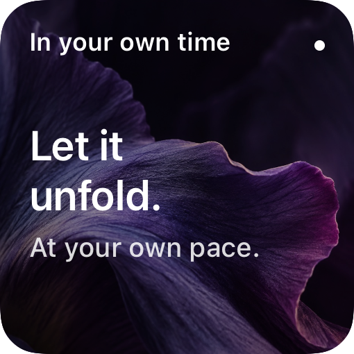 Petal: Let it unfold, over violet iris petals
